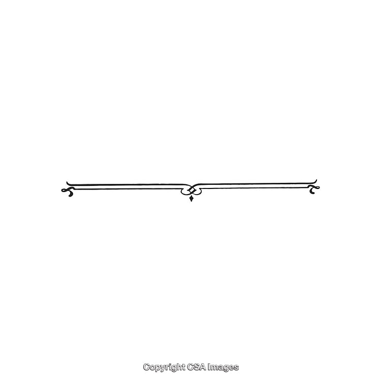 Elegant Black and White Decorative Ornamental Design Divider