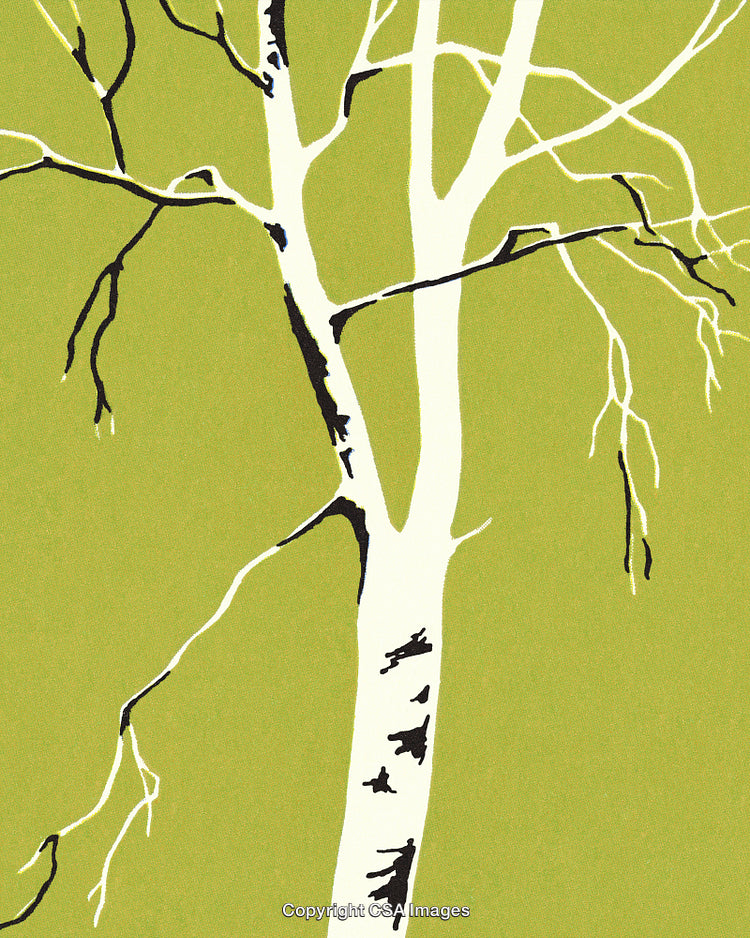 Minimalistic Artwork of a White Birch Tree on Green Background