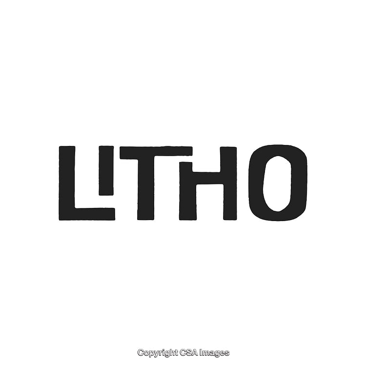 Minimalist Design Featuring a Bold Stylized Wordmark 'LITHO' in Black Typography