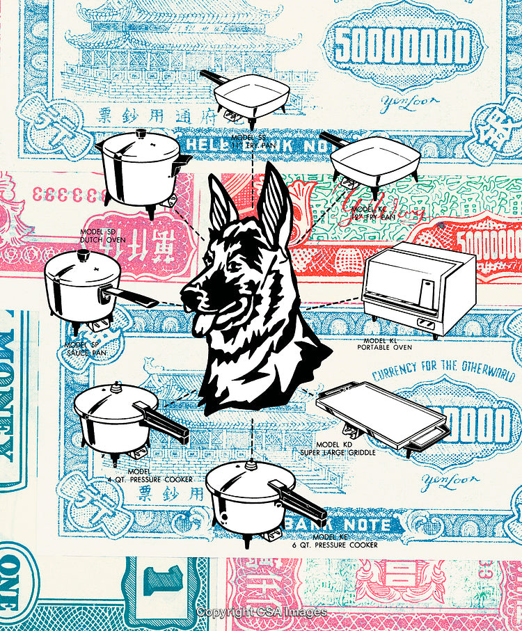 Surreal Collage of Dog, Cookware, and Vibrant Currency Art
