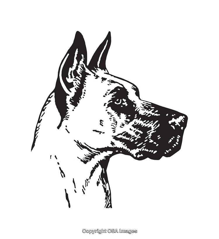 Black and White Illustration of a Dog's Profile Line Art Drawing