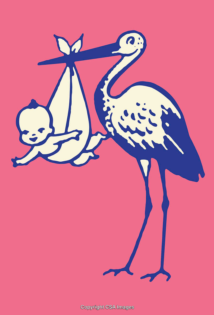 Illustration of a Stork Carrying a Newborn Bundle on a Pink Background