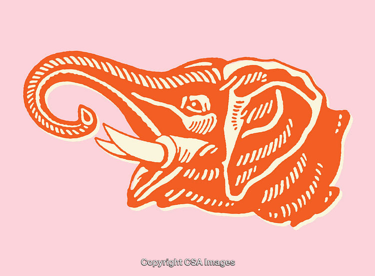 Illustrated Orange Elephant Head in Colorful Line Art on Pastel Background
