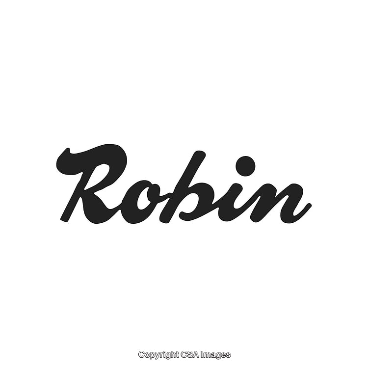 Modern Minimalist Typography in Stylish Black Script