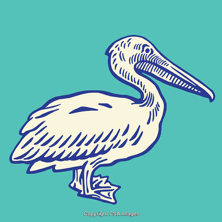 Line Art Illustration of a Pelican on a Blue Background