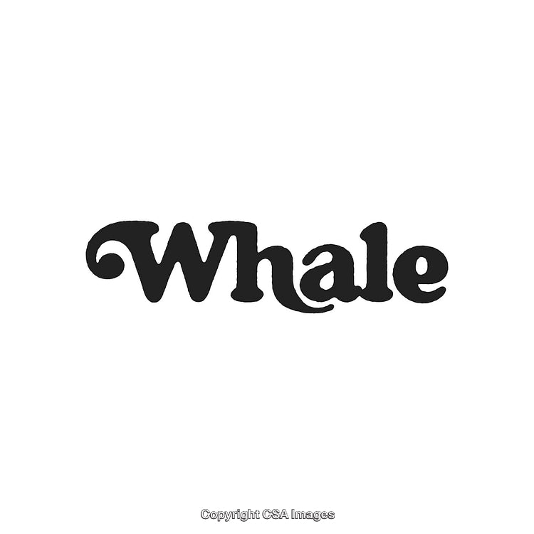 Stylized Black Whale Typeface Illustration with Ornamental Serif Design