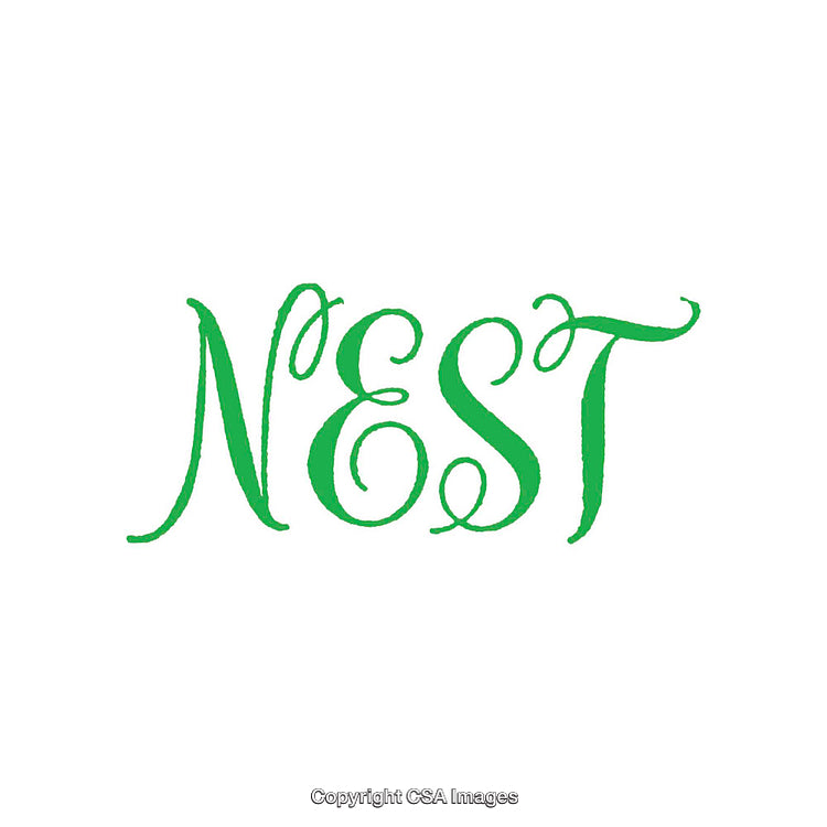 Elegant Green Calligraphy Logo Design With Word 'Nest' in Stylish Font