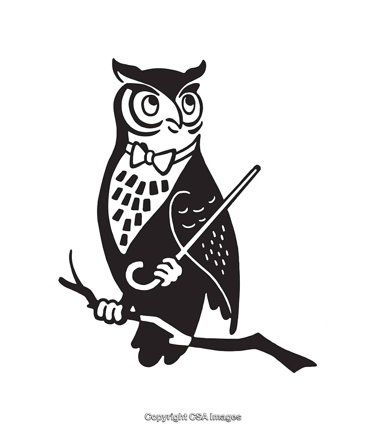 Black and White Line Art of Owl Teacher with Stick on Branch