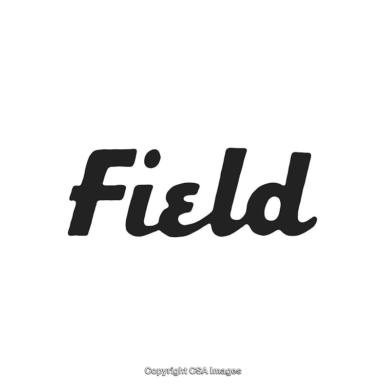 Stylized Typography Illustration Featuring the Word Field in Black on White Background