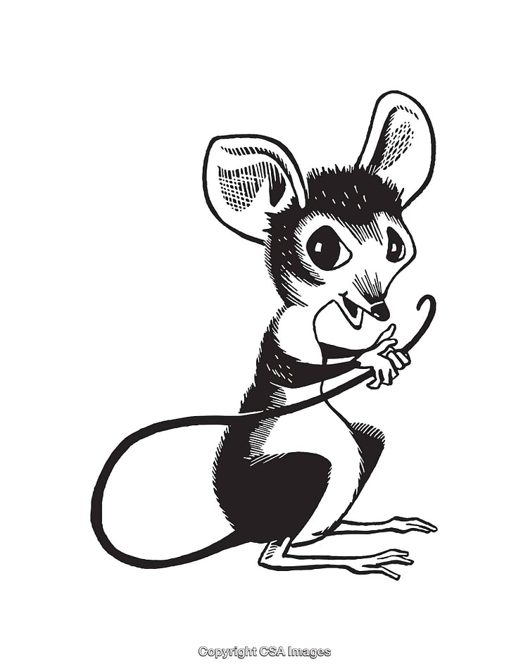 Charming Black and White Line Art of a Cute Cartoon Mouse