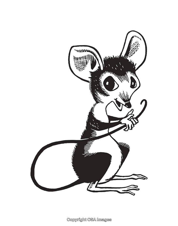 Charming Black and White Line Art of a Cute Cartoon Mouse
