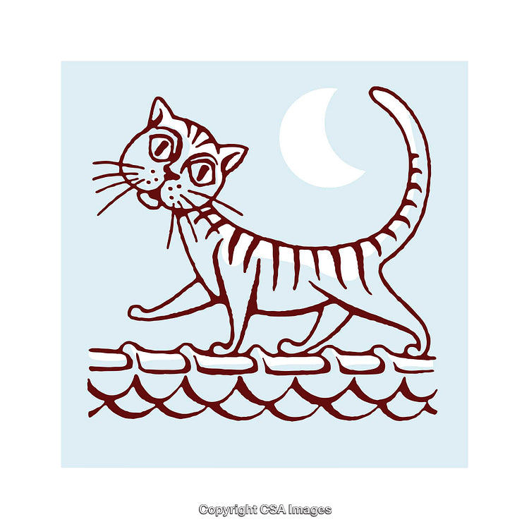 Whimsical Illustration of a Striped Cat With Moonlit Night Sky