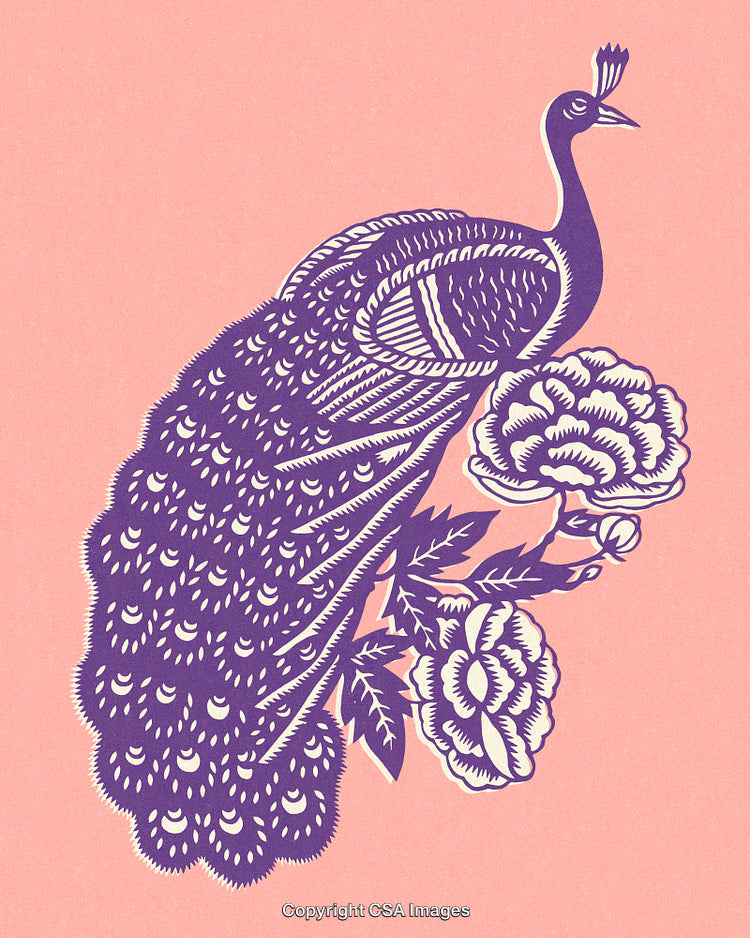 Elegant Purple Peacock Illustration with Decorative Floral Accents