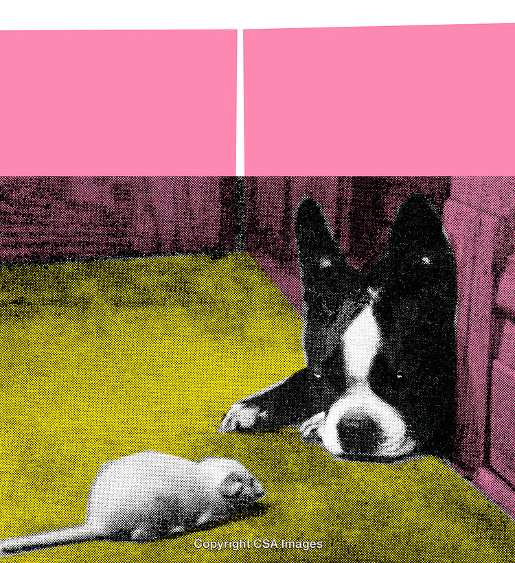 Dog and Mouse Interaction in Colorful Dot Screen Artistic Setting