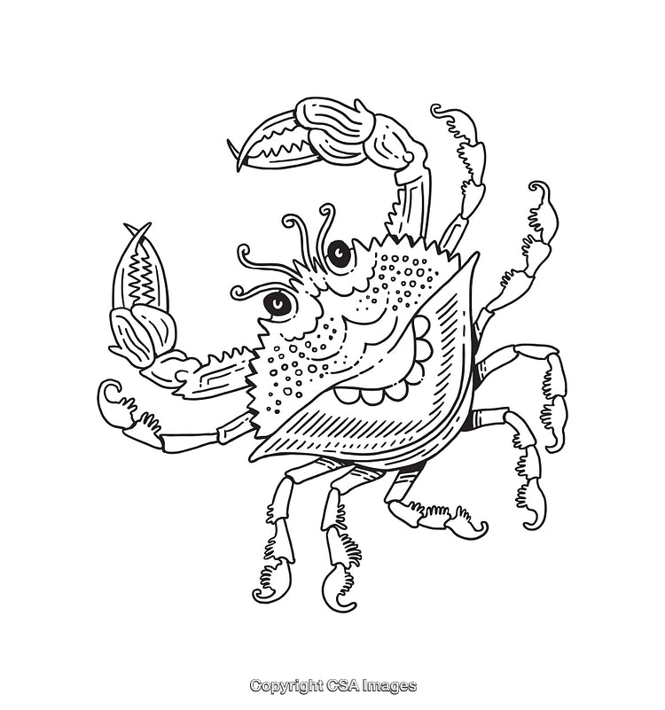 Fun Black And White Illustration of a Smiling Crab Cartoon Drawing