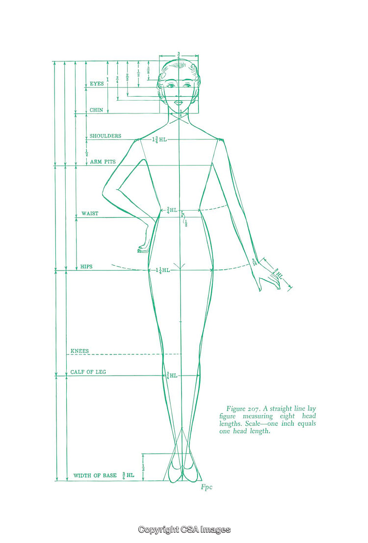Fashion Proportional Diagram Depicting Eight Head Length Measurements
