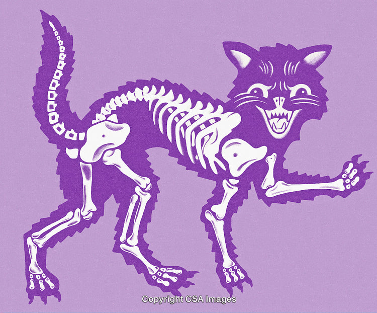 Stylized Cat Skeleton Illustration With Purple Tones on Soft Lavender Background