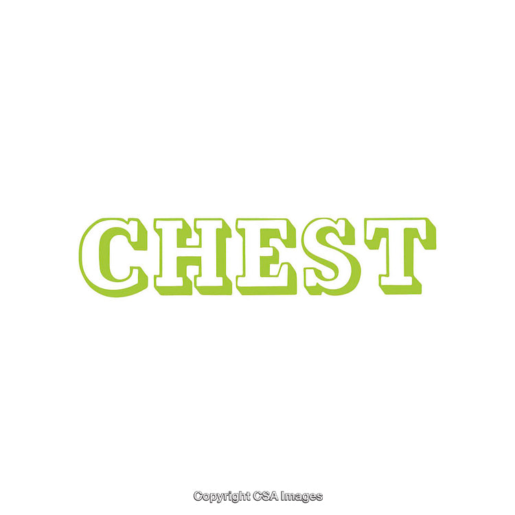 Green Block Letters Spelling Chest Isolated on White Background