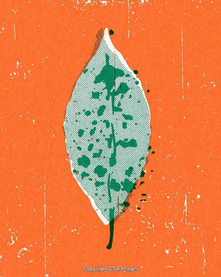 Abstract Textured Leaf Design on Vibrant Orange Background