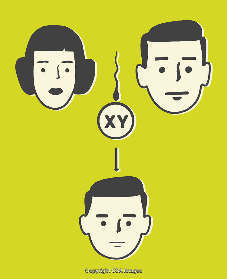 Illustration Explaining Genetic XY Chromosomes and Inheritance
