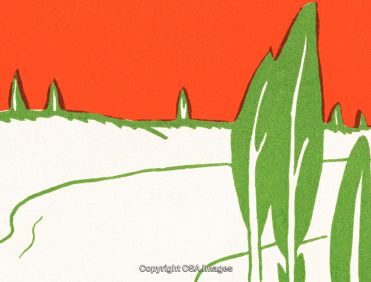 Abstract Landscape With Cypress Trees on Bright Red and White Background