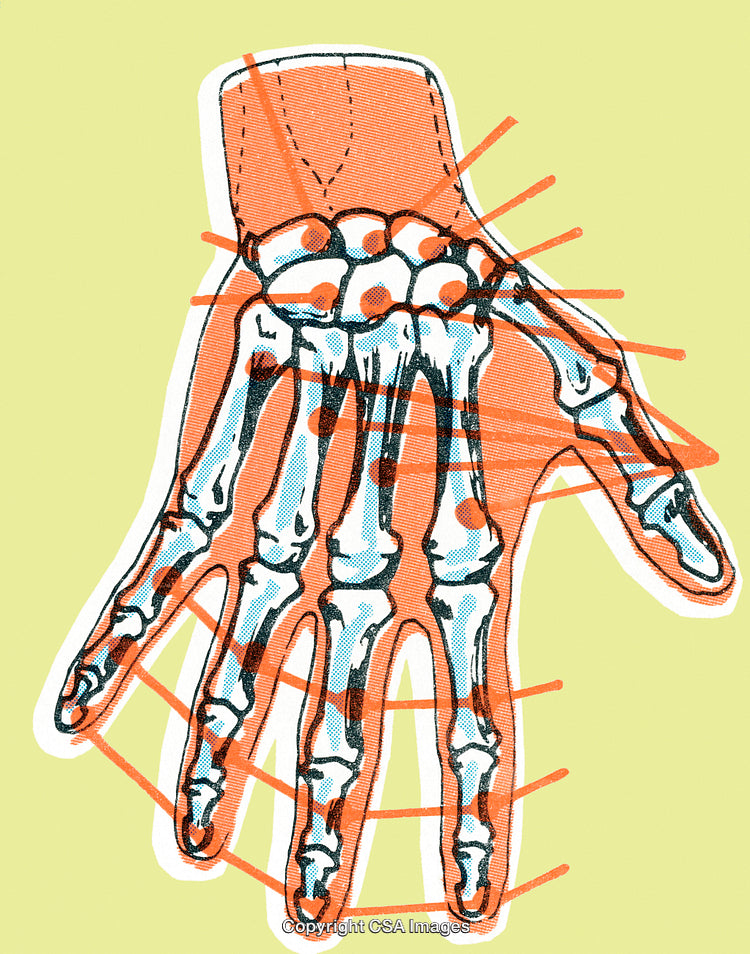 Detailed Illustration of a Human Hand Skeleton in Colorful Artistic Style