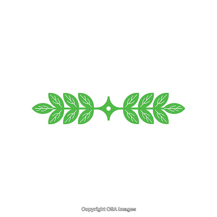 Green Floral Illustration with Symmetrical Design on a White Background