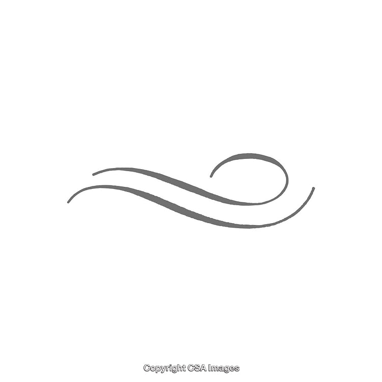 Curved Artistic Linework Featuring Abstract Flowing Design on White Background