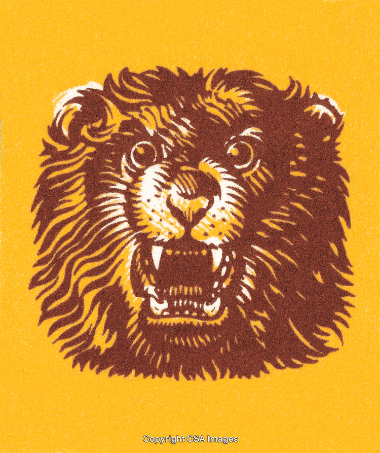 Fierce Bear Illustration with Bold Colors on Vibrant Background