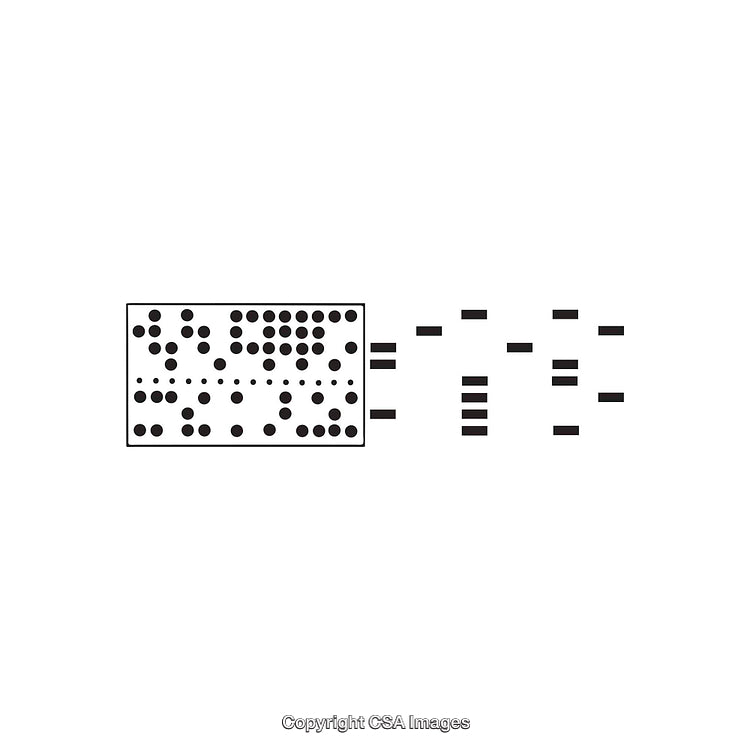 Abstract Black and White Pattern with Unique Shapes and Dots