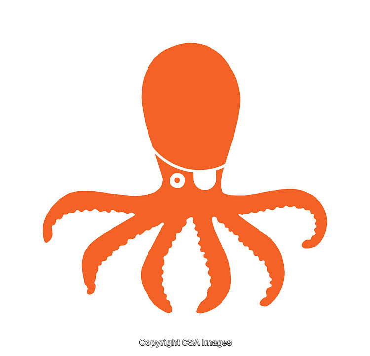 Orange Octopus Silhouette Icon Isolated on White Background