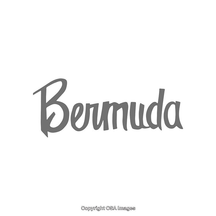 Stylish Monochrome Text Design Featuring the Word Bermuda in Decorative Script