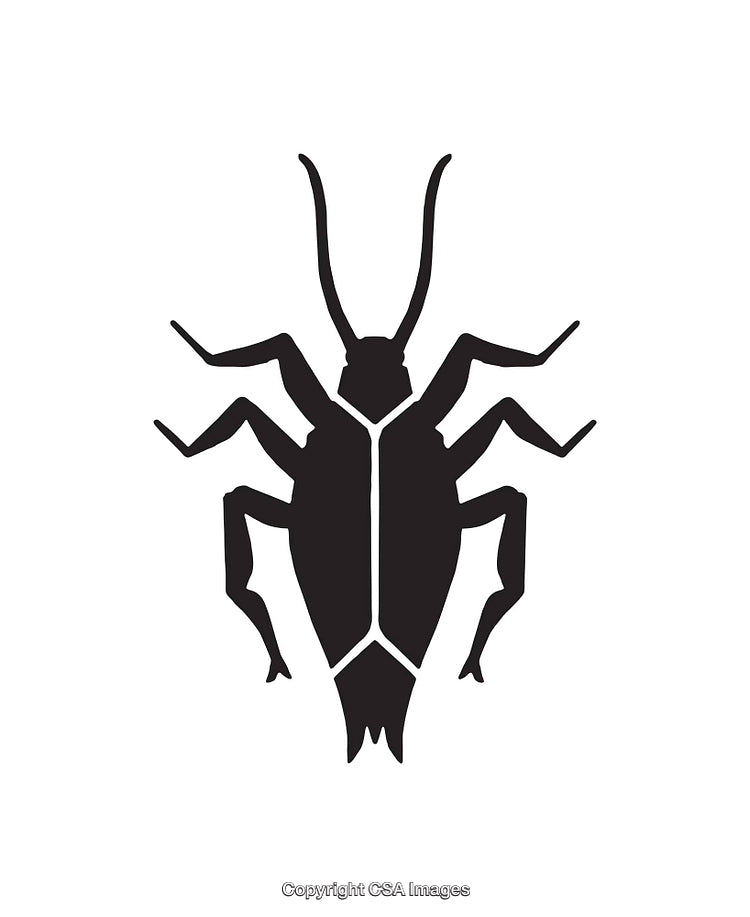 Black Silhouette of a Insect in Simple Vector Style