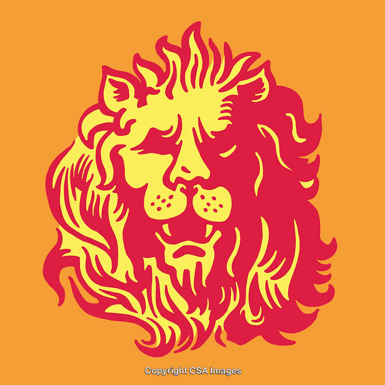 Colorful Lion Head Illustration in Bold Vector Art Style