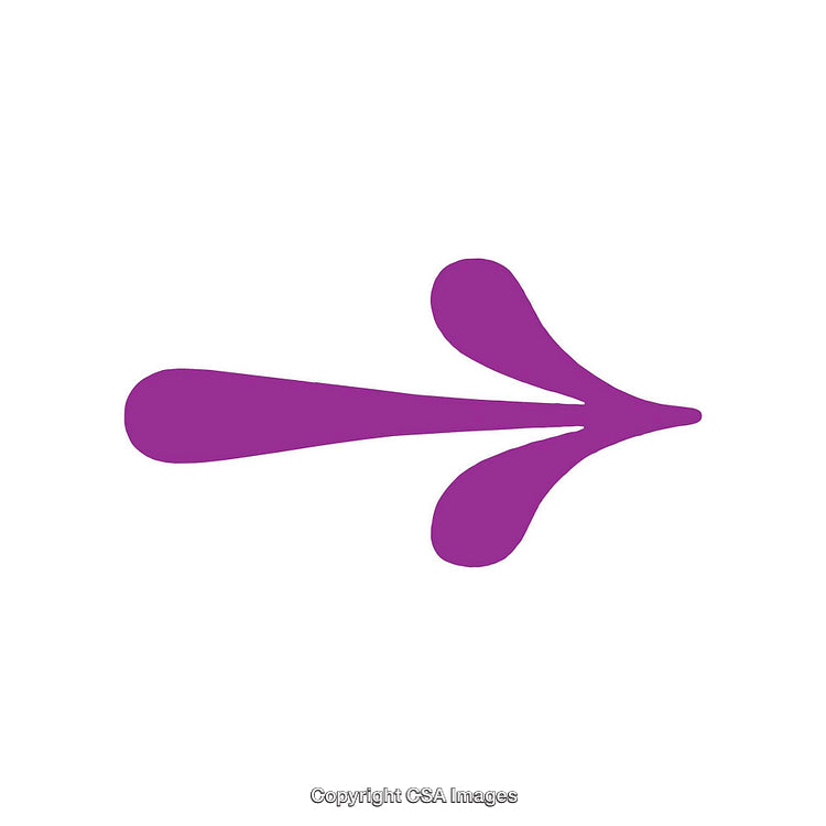 Minimalist Purple Dingbat Arrow Shape on a White Background