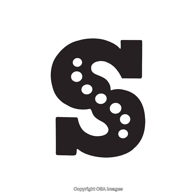 Stylized Black Letter S With Geometric Patterning on White Background