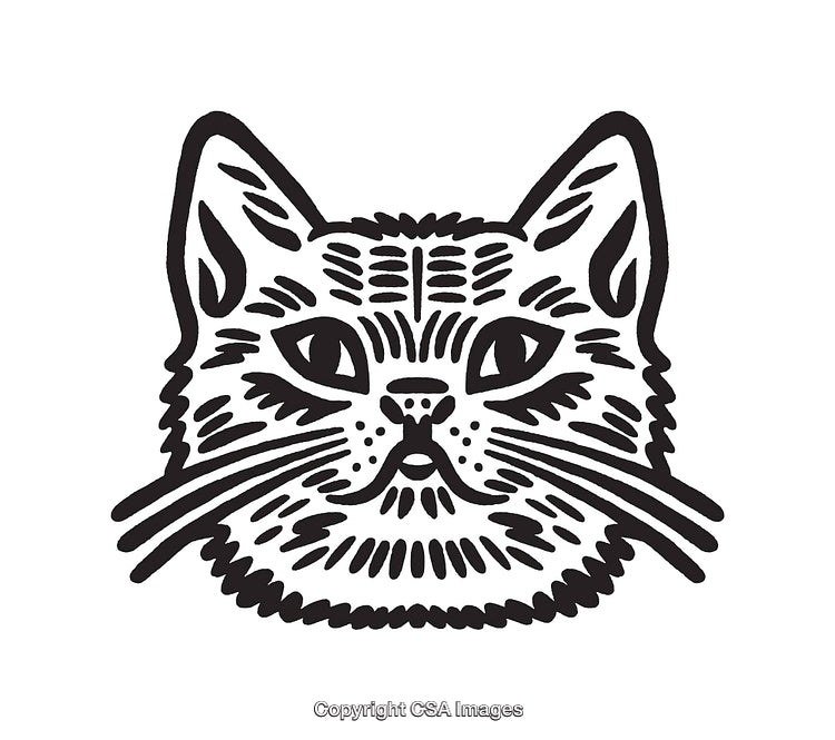 Black and White Line Art Illustration of a Cat's Face