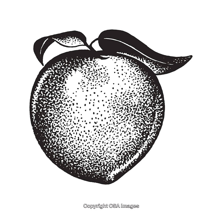 Black and White Line Art Illustration of a Peach with Leaves