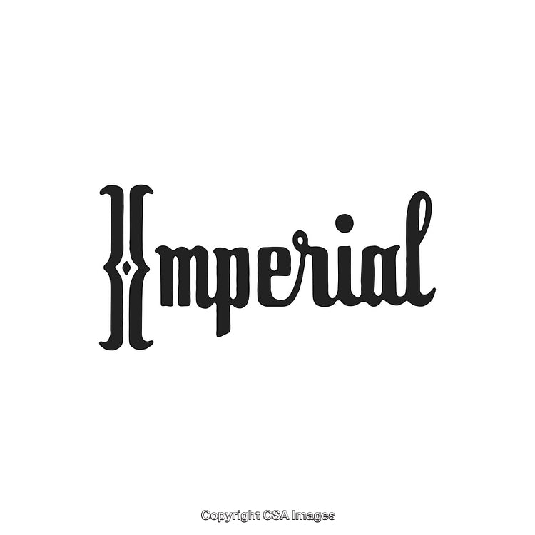 Elegant Hand-Drawn Logo Design with a Vintage and Ornamental Style