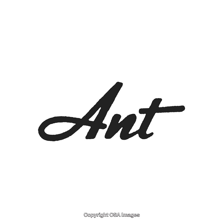 Stylized Word Art of 'Ant' in Bold Black Typeface on White Background