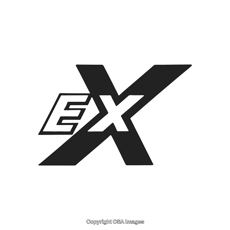 Bold Black And White EX Stylized Logo Design