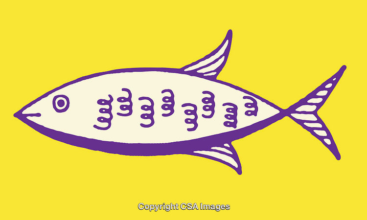 Vibrant Purple Fish Illustration On Bright Yellow Background