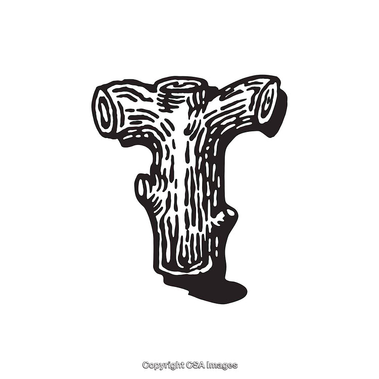 Rustic Vintage Letter T Illustrated Tree Trunk Style Design