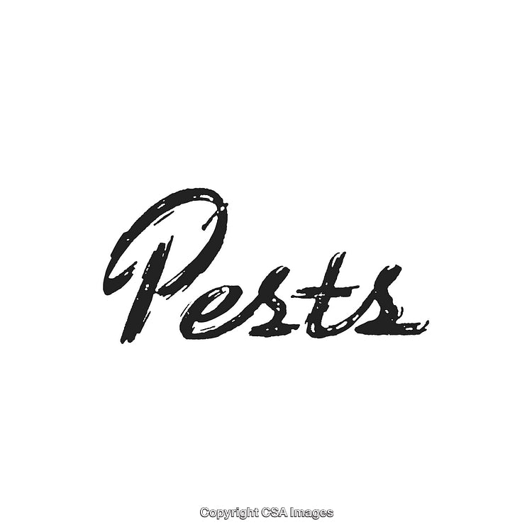 Vintage Ink-Styled Typography of the Word 'Pests' on White Background