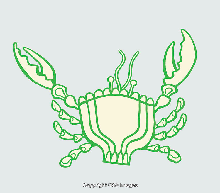 Green and Beige Minimalistic Crab Illustration on a Light Background