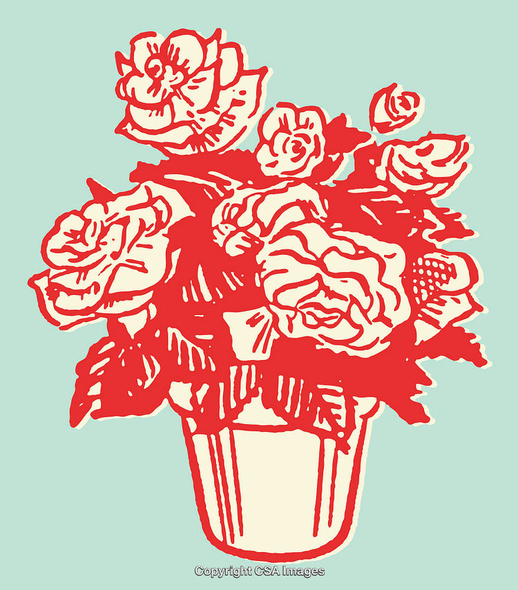 High-Contrast Floral Line Illustration With Roses in a Vase