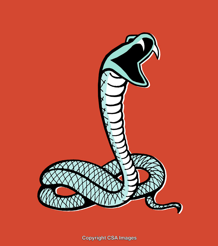 Illustrated Cobra Snake on Red Background with Open Hood and Dynamic Pose