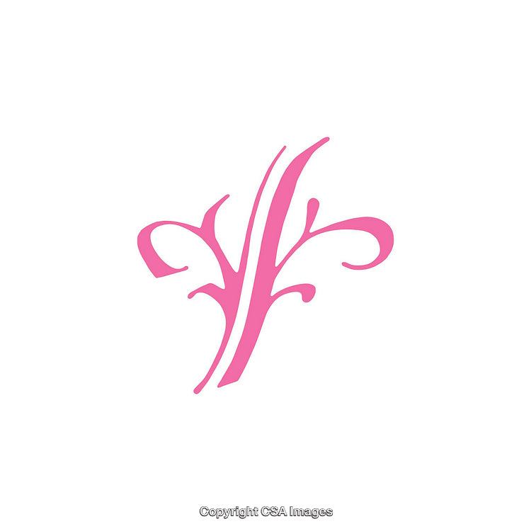 Pink Decorative Abstract Design Element on White Background