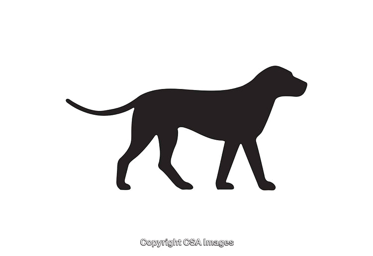 Silhouette Illustration of a Walking Dog in Black and White Design