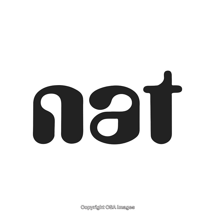Stylish Modern Typography in Black Featuring the Letters 'Nat' on White Background